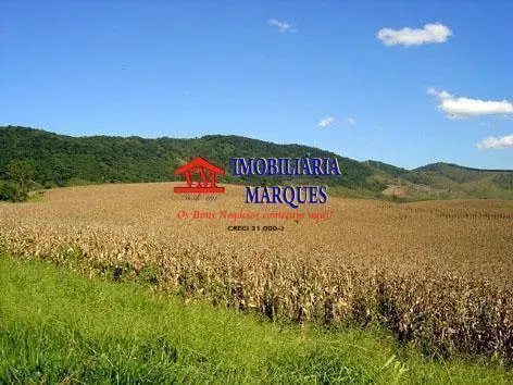 Fazenda à venda de 581 ha em Serra Negra, SP, Brasil