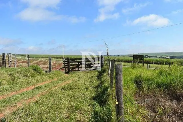 Farm for sale of 646 acres in Tietê, SP, Brazil