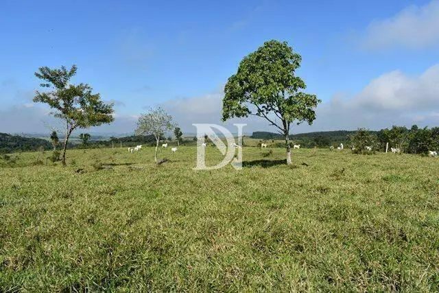 Farm for sale of 646 acres in Tietê, SP, Brazil