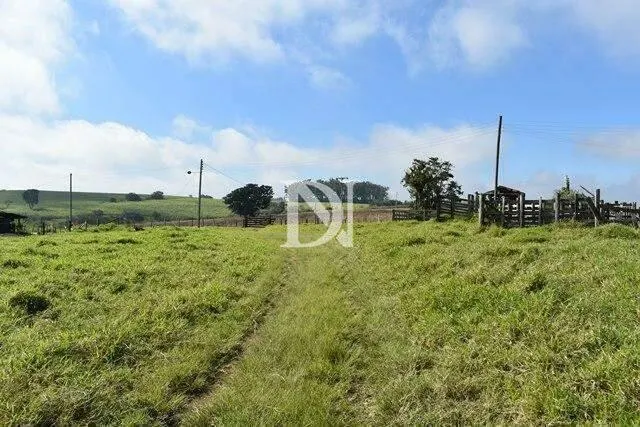 Farm for sale of 646 acres in Tietê, SP, Brazil