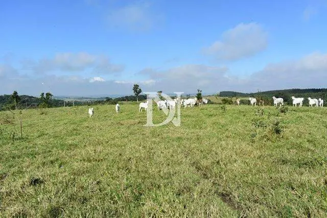 Farm for sale of 646 acres in Tietê, SP, Brazil