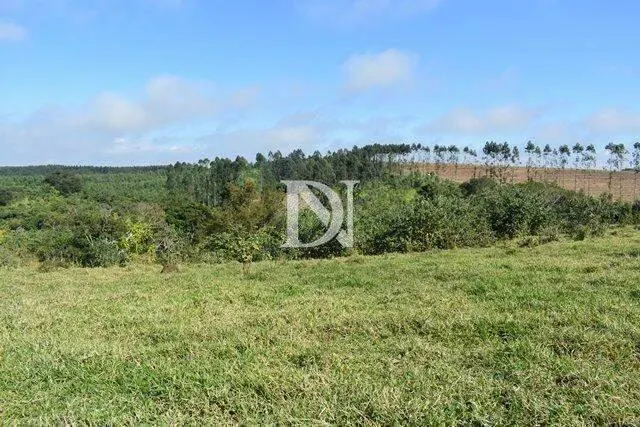 Farm for sale of 646 acres in Tietê, SP, Brazil