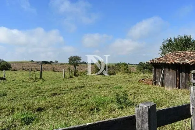 Farm for sale of 646 acres in Tietê, SP, Brazil