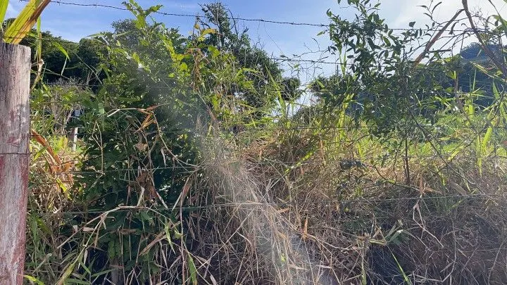 Plot for sale of 826 m² in Santo Antônio da Patrulha, RS, Brazil