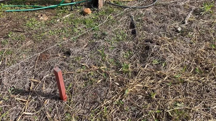Plot for sale of 826 m² in Santo Antônio da Patrulha, RS, Brazil