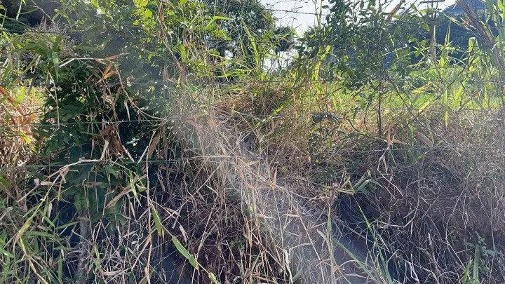 Plot for sale of 826 m² in Santo Antônio da Patrulha, RS, Brazil