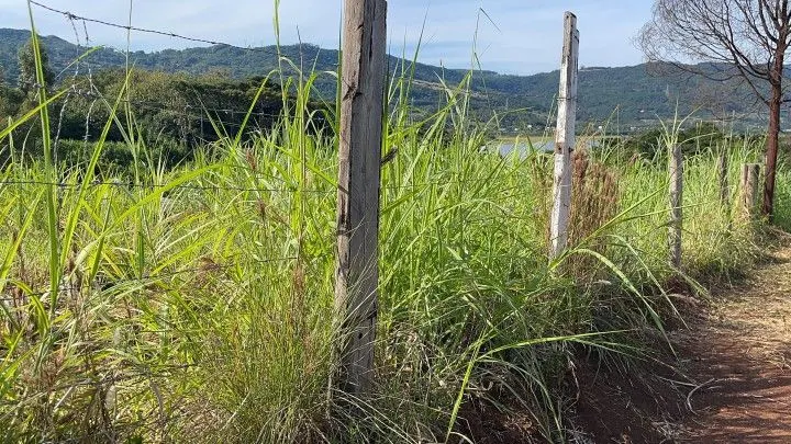 Plot for sale of 826 m² in Santo Antônio da Patrulha, RS, Brazil