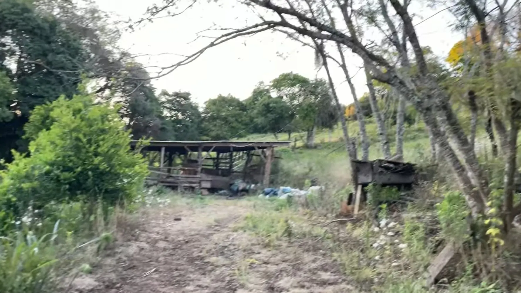 Sítio à venda de 4 ha em Santo Antônio da Patrulha, RS, Brasil