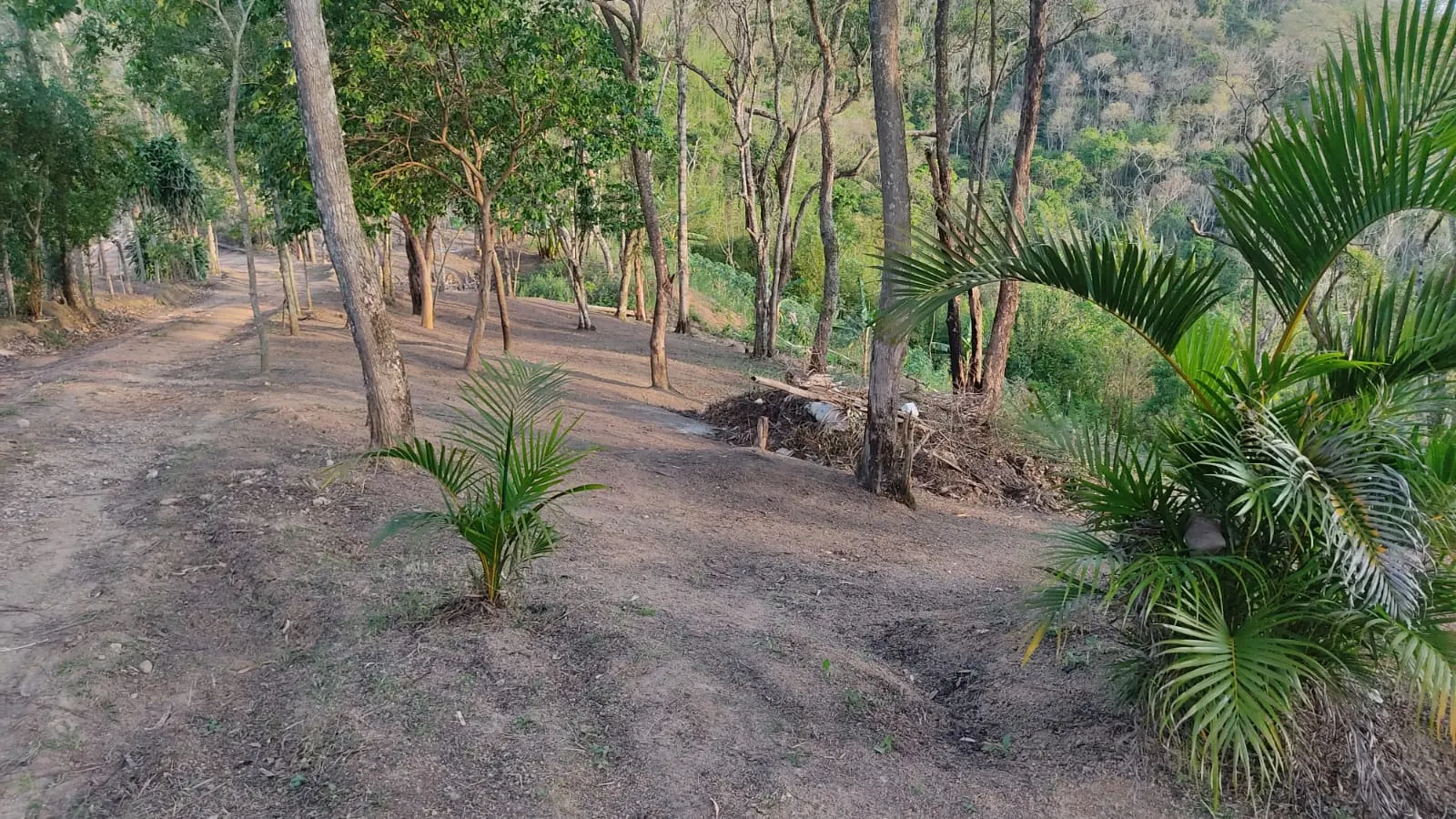 Small farm for sale of 8 acres in Jambeiro, SP, Brazil