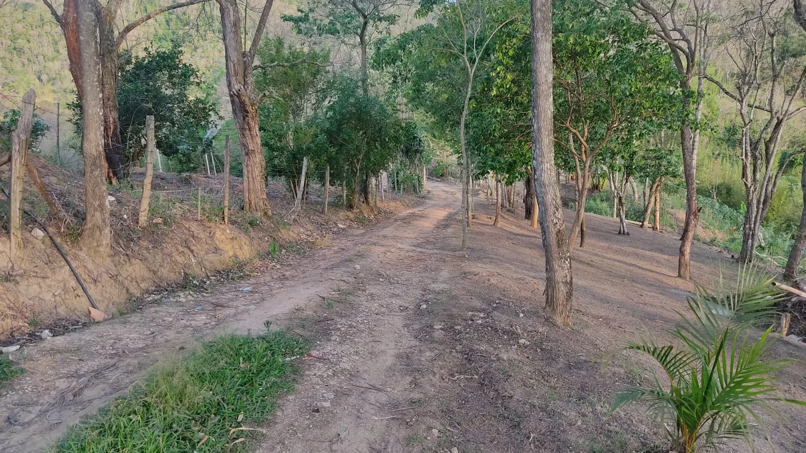 Small farm for sale of 8 acres in Jambeiro, SP, Brazil