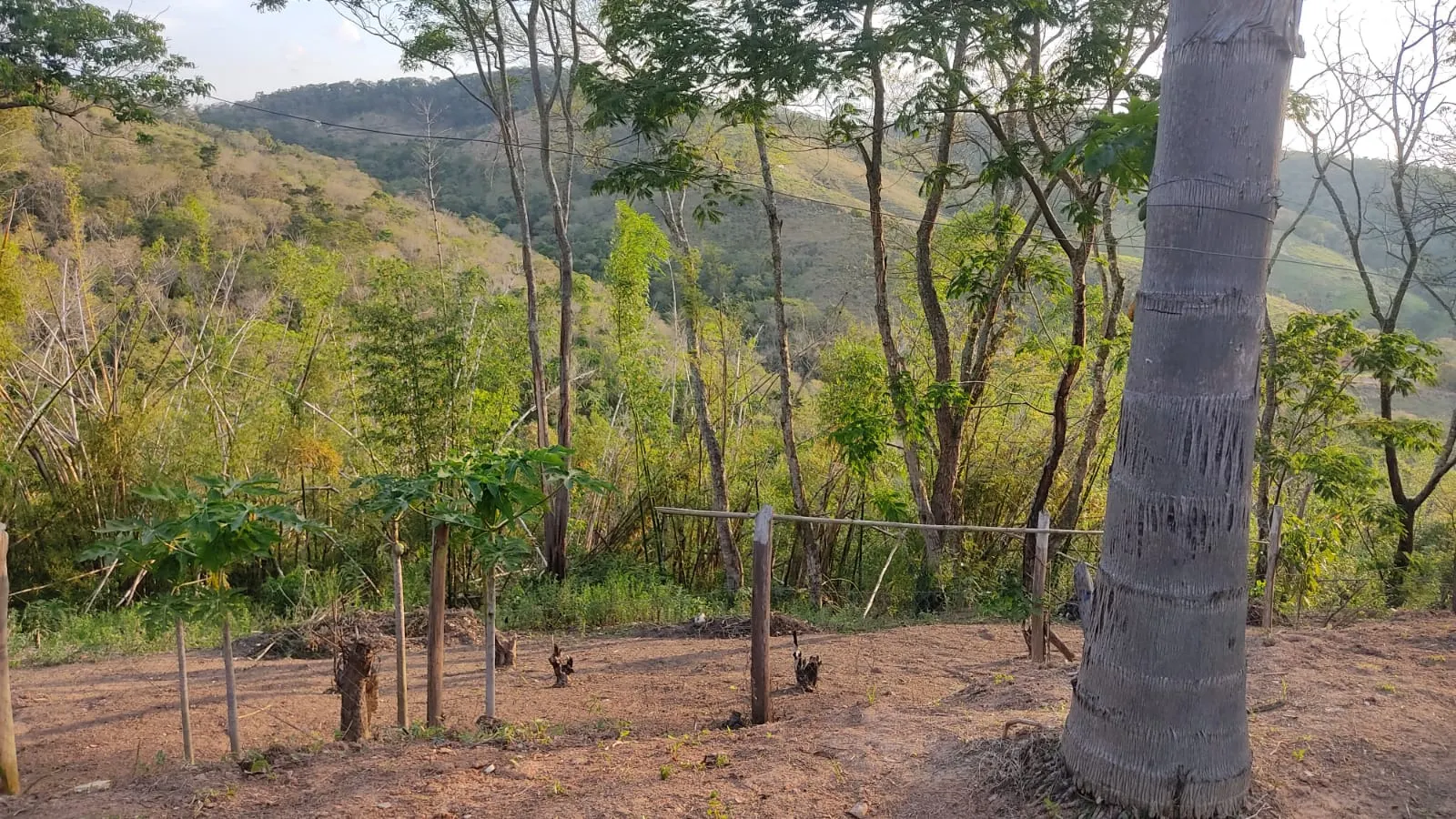 Small farm for sale of 8 acres in Jambeiro, SP, Brazil