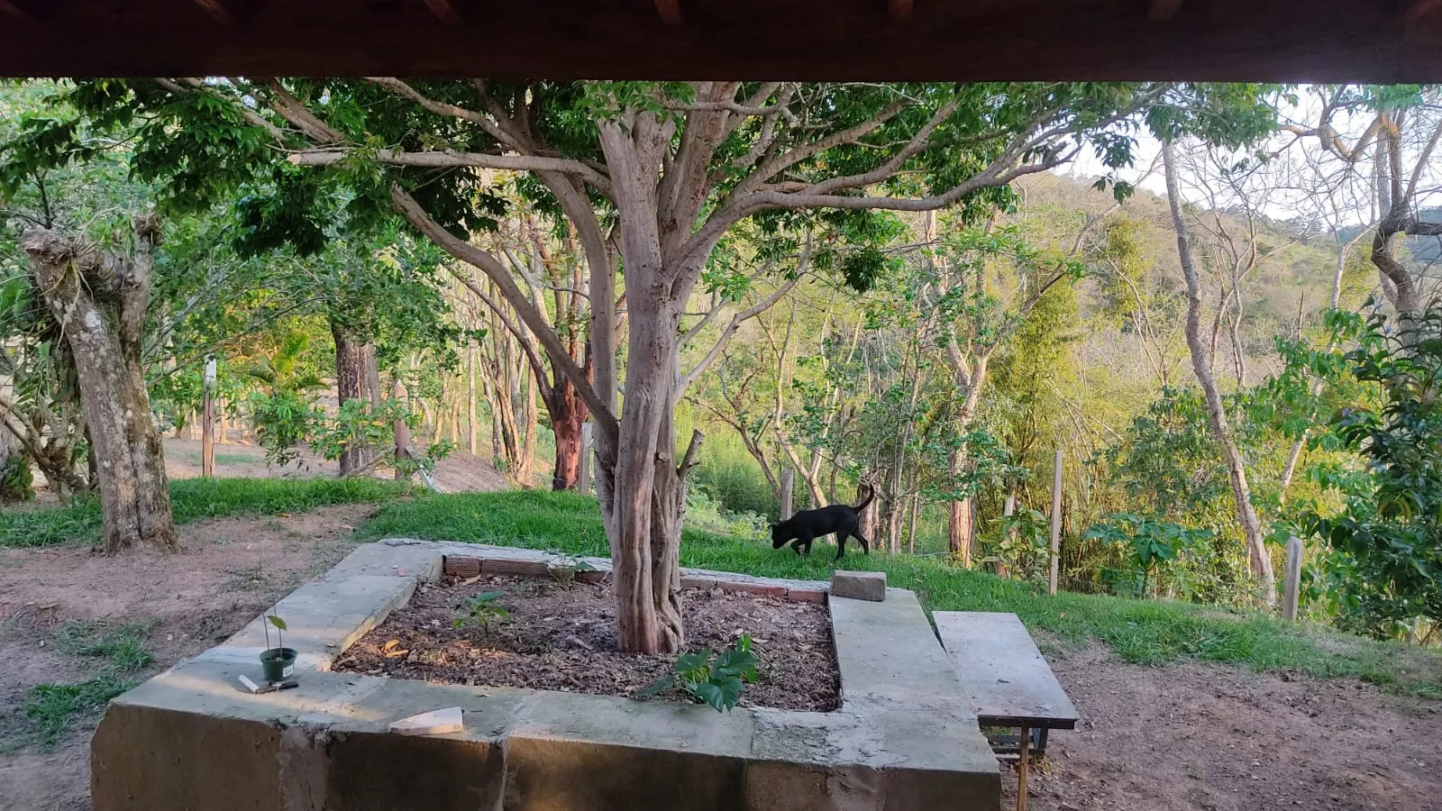 Small farm for sale of 8 acres in Jambeiro, SP, Brazil