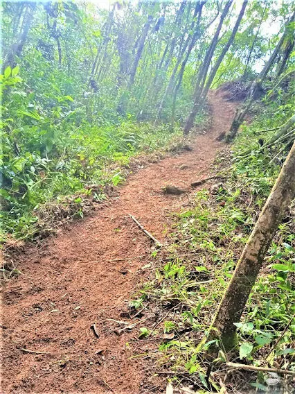 Small farm for sale of 217 acres in São José dos Campos, SP, Brazil