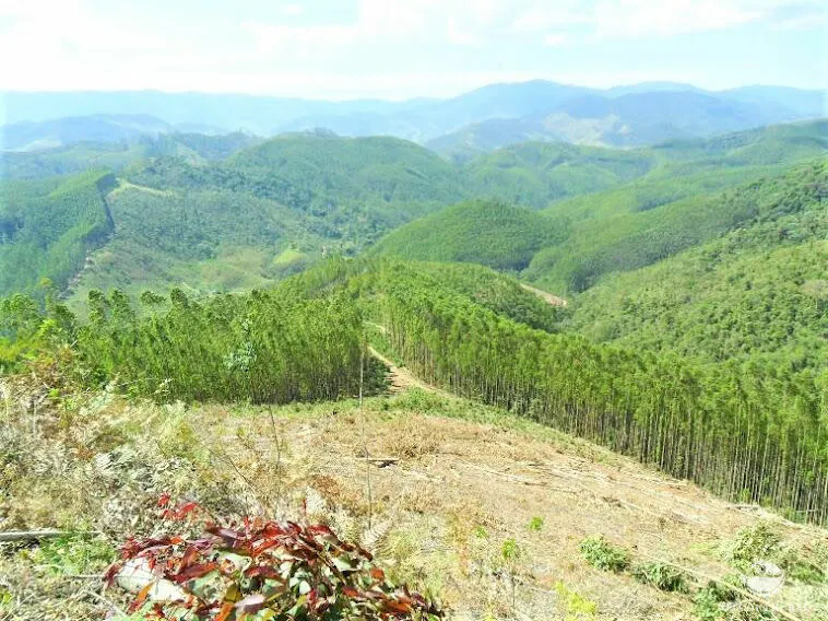 Small farm for sale of 217 acres in São José dos Campos, SP, Brazil