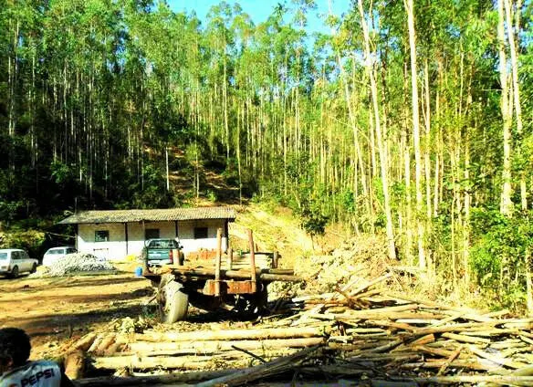 Small farm for sale of 217 acres in São José dos Campos, SP, Brazil