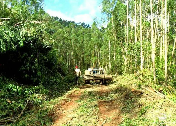 Small farm for sale of 217 acres in São José dos Campos, SP, Brazil