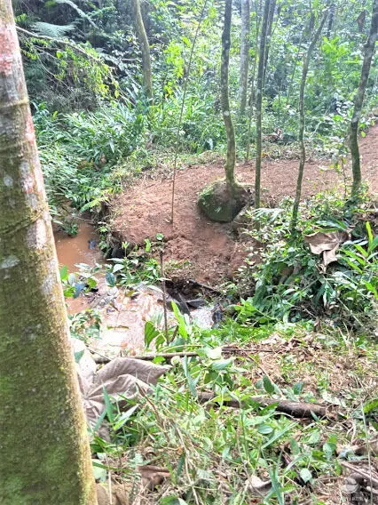 Small farm for sale of 217 acres in São José dos Campos, SP, Brazil
