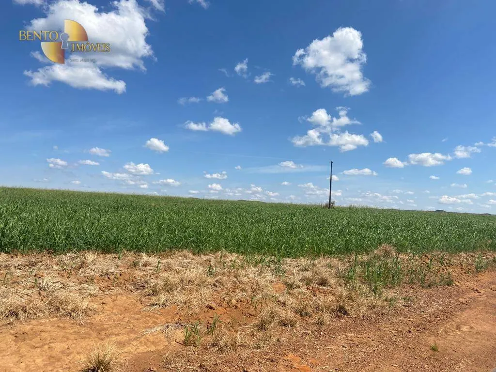 Farm for sale of 2,718 acres in Nova Brasilândia, MT, Brazil