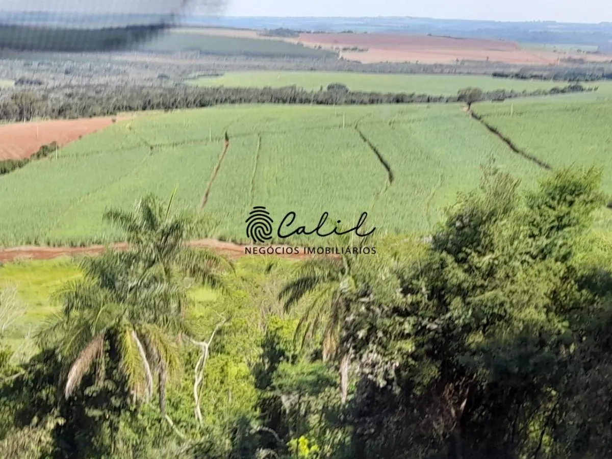 Sítio à venda de 18 ha em Altinópolis, SP, Brasil