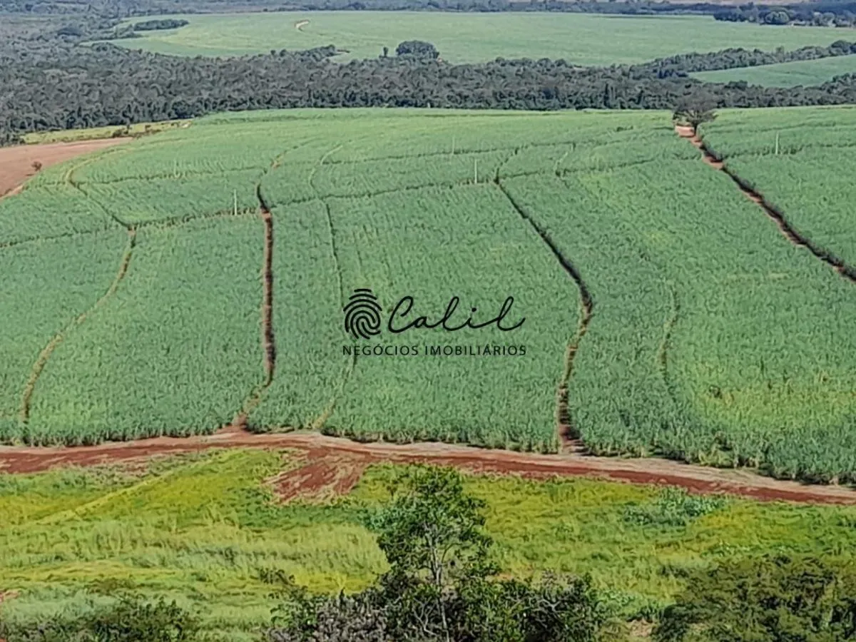 Sítio à venda de 18 ha em Altinópolis, SP, Brasil