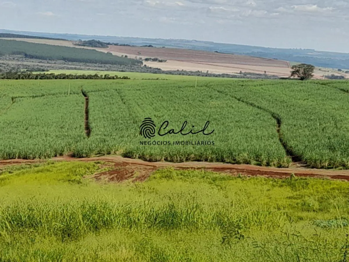 Sítio à venda de 18 ha em Altinópolis, SP, Brasil