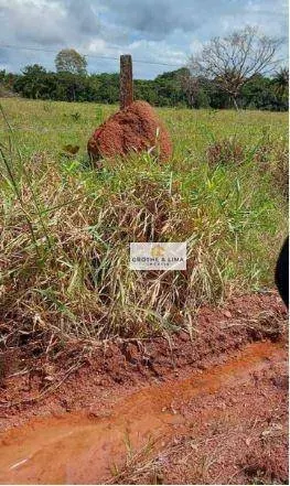 Fazenda à venda de 711 ha em Araguaína, TO, Brasil