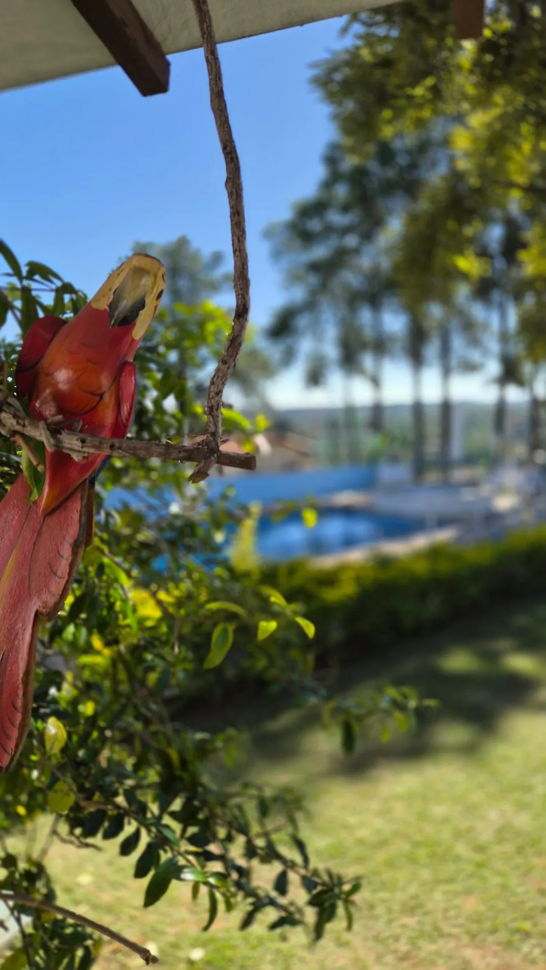 Country home for sale and to rent of 5 acres in Alumínio, SP, Brazil
