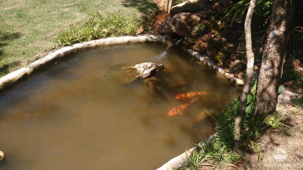 Small farm for sale of 7 acres in São José dos Campos, SP, Brazil