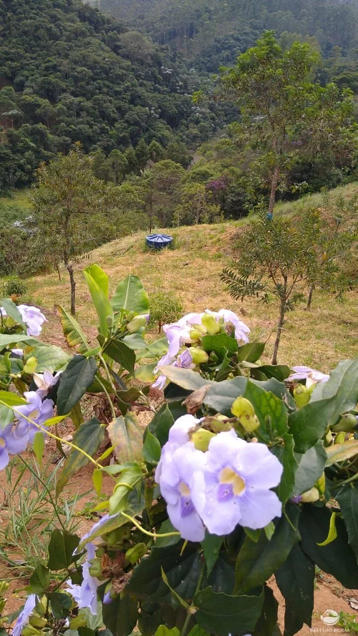 Small farm for sale of 7 acres in São José dos Campos, SP, Brazil