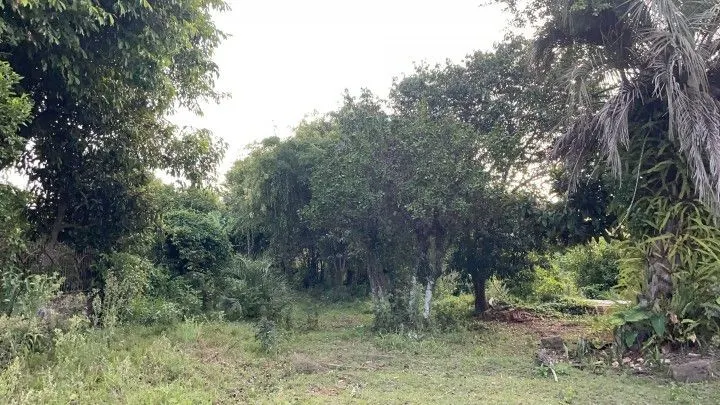 Plot for sale of 400 m² in Santo Antônio da Patrulha, RS, Brazil