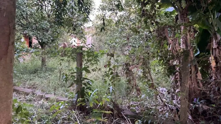 Plot for sale of 400 m² in Santo Antônio da Patrulha, RS, Brazil