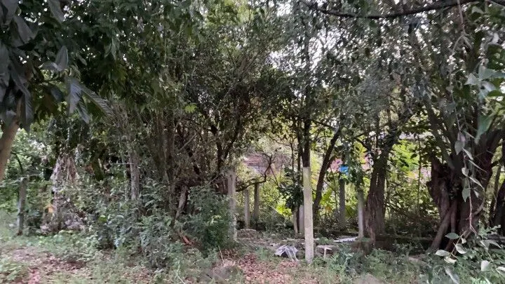 Plot for sale of 400 m² in Santo Antônio da Patrulha, RS, Brazil