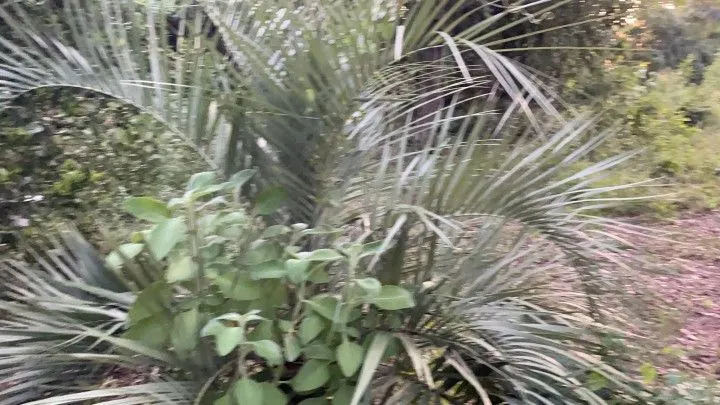 Plot for sale of 400 m² in Santo Antônio da Patrulha, RS, Brazil