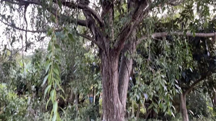 Plot for sale of 400 m² in Santo Antônio da Patrulha, RS, Brazil