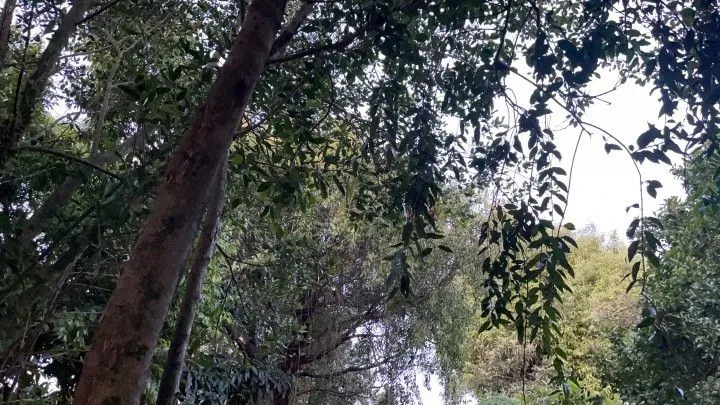Plot for sale of 400 m² in Santo Antônio da Patrulha, RS, Brazil