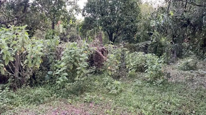 Plot for sale of 400 m² in Santo Antônio da Patrulha, RS, Brazil