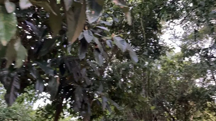 Plot for sale of 400 m² in Santo Antônio da Patrulha, RS, Brazil