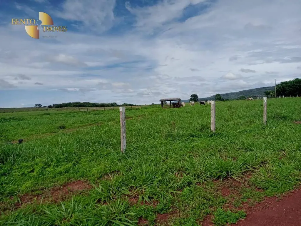 Fazenda à venda de 540 ha em Rosário Oeste, MT, Brasil