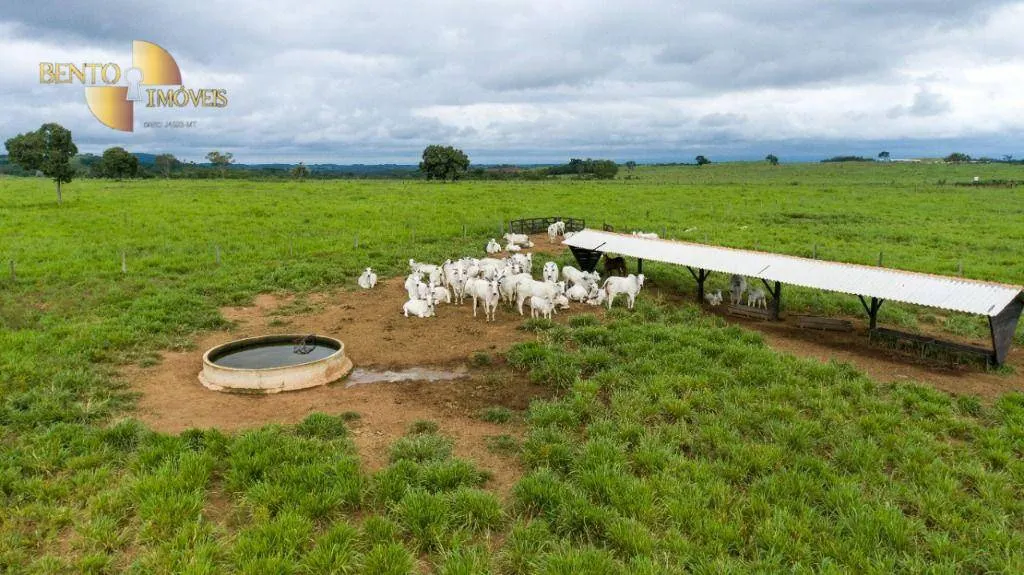 Fazenda à venda de 540 ha em Rosário Oeste, MT, Brasil