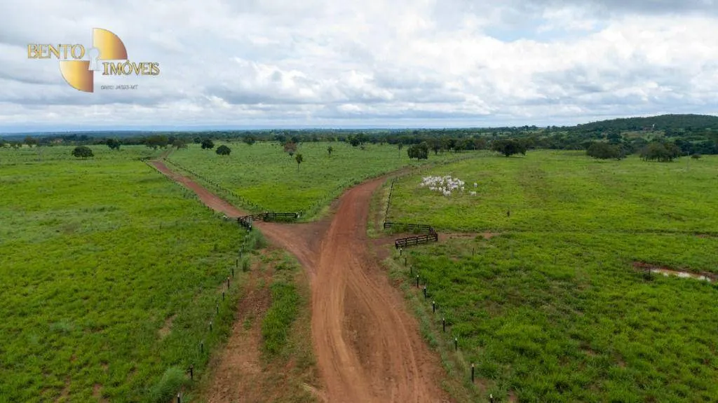 Fazenda à venda de 540 ha em Rosário Oeste, MT, Brasil