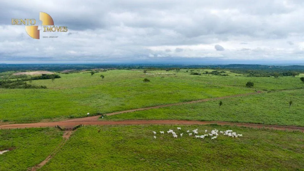 Fazenda à venda de 540 ha em Rosário Oeste, MT, Brasil