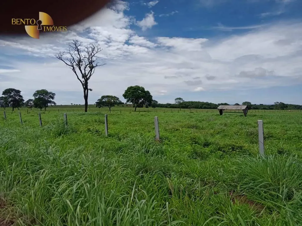 Fazenda à venda de 540 ha em Rosário Oeste, MT, Brasil