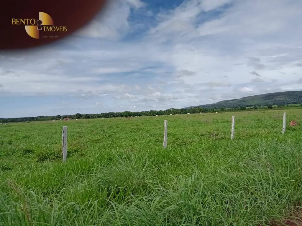 Fazenda à venda de 540 ha em Rosário Oeste, MT, Brasil