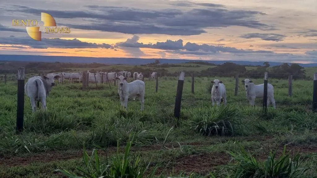 Fazenda à venda de 540 ha em Rosário Oeste, MT, Brasil