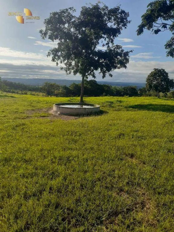 Fazenda à venda de 540 ha em Rosário Oeste, MT, Brasil