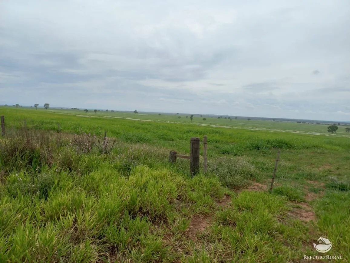 Farm for sale of 3,830 acres in Camapuã, MS, Brazil