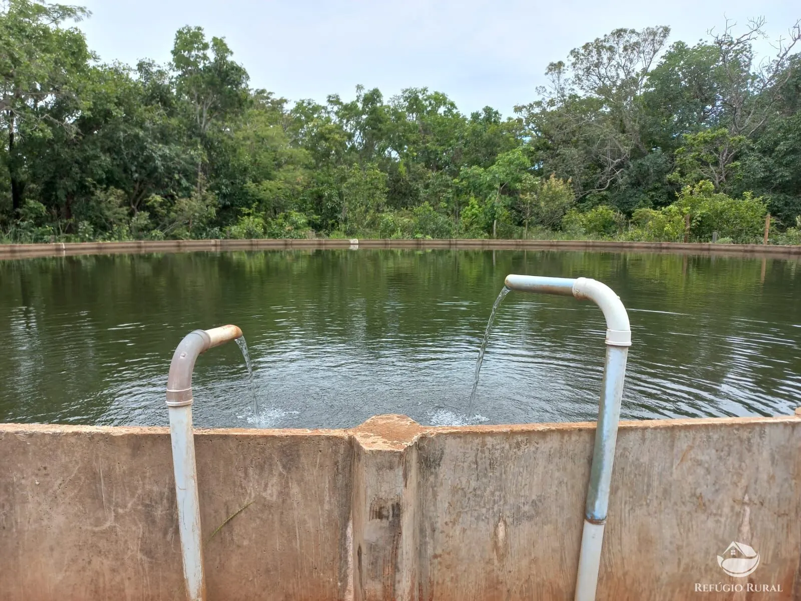 Farm for sale of 3,830 acres in Camapuã, MS, Brazil