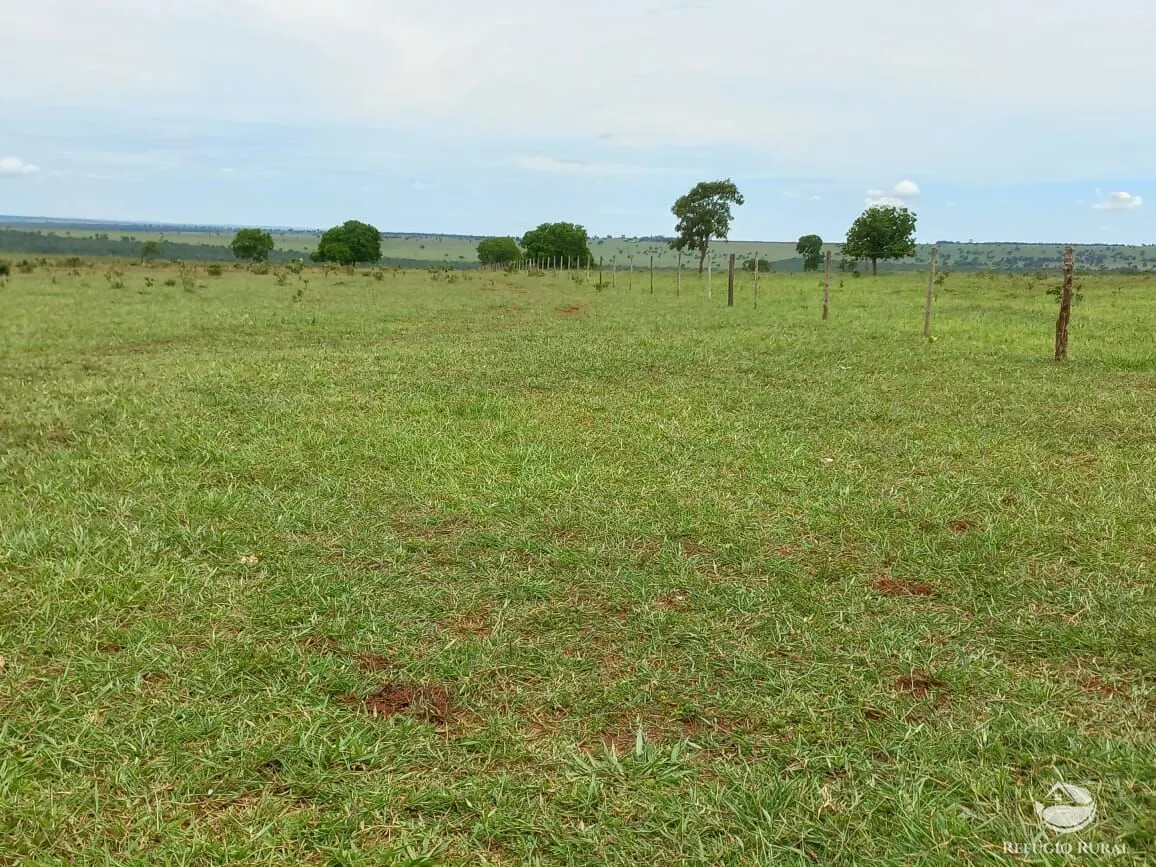 Farm for sale of 3,830 acres in Camapuã, MS, Brazil