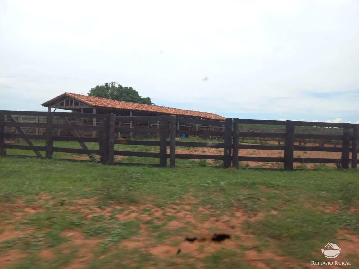 Fazenda à venda de 1.550 ha em Camapuã, MS, Brasil