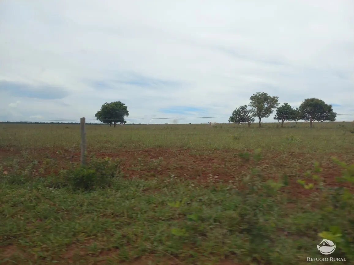 Farm for sale of 3,830 acres in Camapuã, MS, Brazil